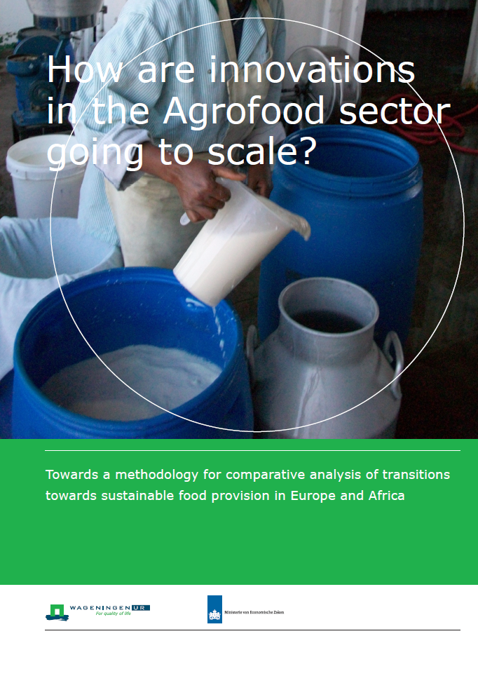 LEI Project Brief AgriFood Sector Going to scale