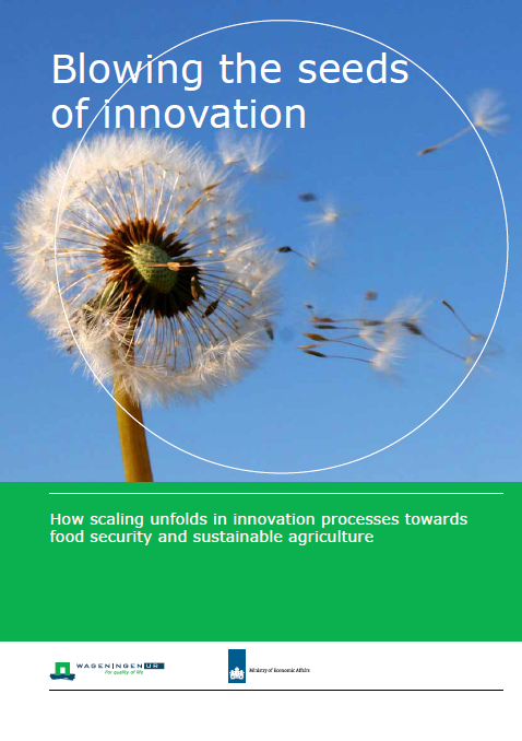 blowing the seed of innovation